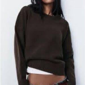 Zara Women's Brown Sweater